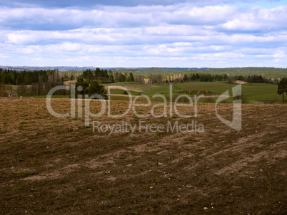 plowed field, green spruce and blue sky, the plowed field under the blue sky