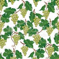 Grape seamless pattern. Wine yard natural fruit food background