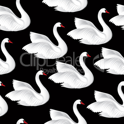 White birds seamless pattern. Wildlife background. Swimming swan