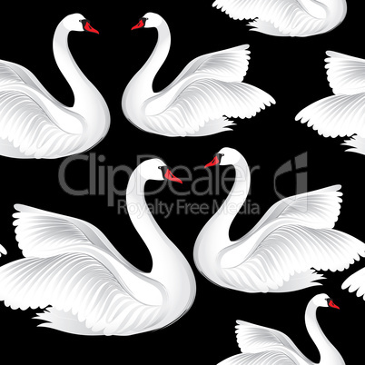 White birds seamless pattern. Wildlife background. Swimming swans