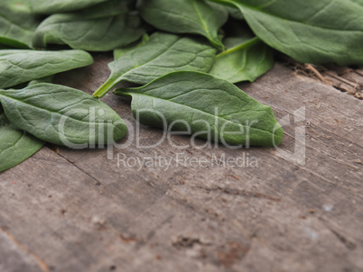 Organic spinach on a wooden table