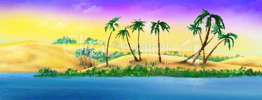Palm Trees on a Sandy River Bank