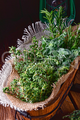 Herbal collection of: thyme,oregano, rosemary