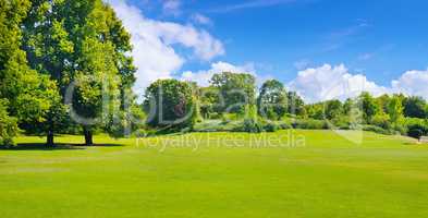 Summer park with deciduous trees and broad lawns. Wide photo.