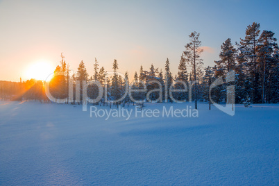 Sun at Sunset over Winter Forest