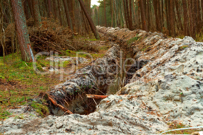 the trench in the pine forest, the groove for laying cable in the forest, the destruction of the environment