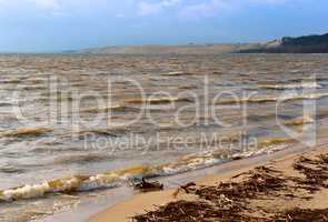 the coastline, pine trees on the waterfront, sandy soil and dry grass on the coast