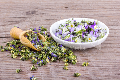 small, violet heartsease