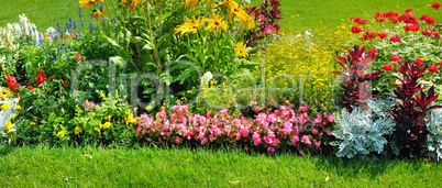 Summer flowerbed and green lawn. Wide photo.