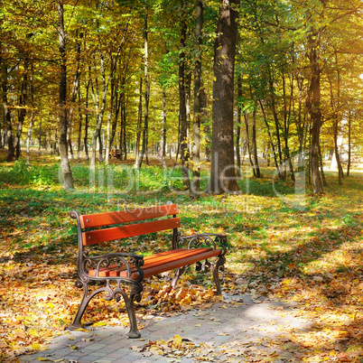 Beautiful autumn park with paths and benches.