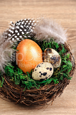 Quail easter eggs in a nest on wooden table