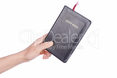 Woman hand holding the Holy Bible on white