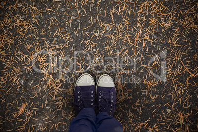 Composite image of low section of man standing on hardwood floor