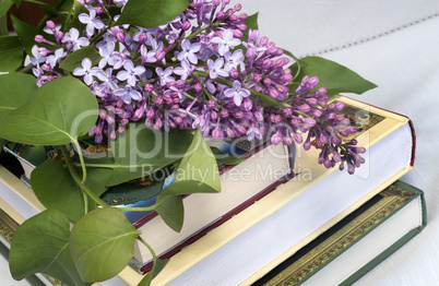 A flowering branch of lilac and books.