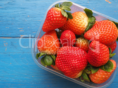 Fresh organic strawberries