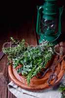 Herbal collection of: thyme,oregano, rosemary