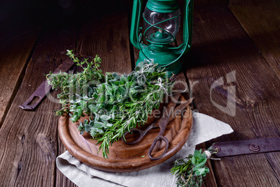 Herbal collection of: thyme,oregano, rosemary