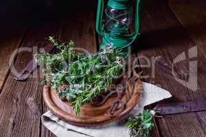 Herbal collection of: thyme,oregano, rosemary