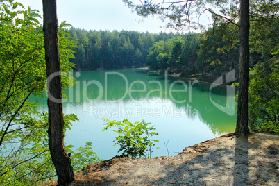 Forest lake with emerald water. Beautiful water landscape