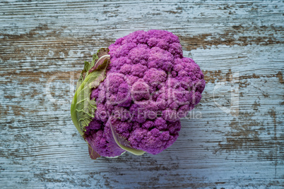Purple color cauliflower vegetable on a gray table