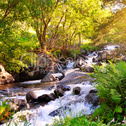 Mountain river, forest and bright sunrise.