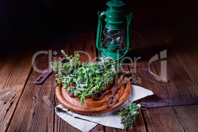 Herbal collection of: thyme,oregano, rosemary