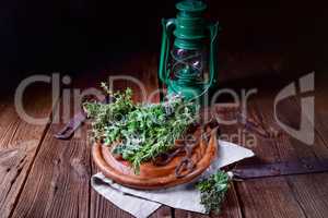 Herbal collection of: thyme,oregano, rosemary