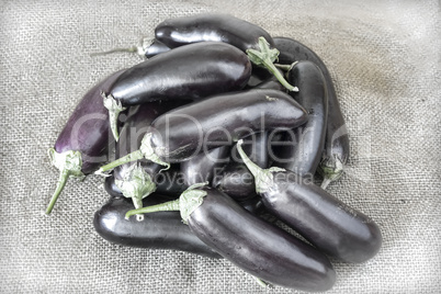 Ripe eggplant closeup.