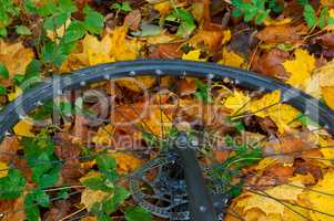 Bicycle wheel on autumn leaves, Bicycle wheel at autumn leaves, colorful leaves and use from the bike