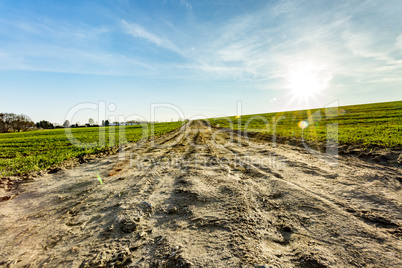 Dirt road for agriculture