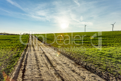 Dirt road for agriculture