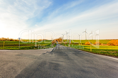 Asphalted road in the countryside