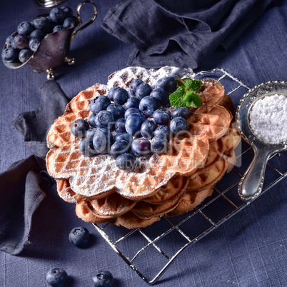 waffles with blueberries