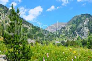 Picturesque mountain landscape,meadow, hiking trail and sky.