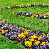 Summer flower bed and green lawn.