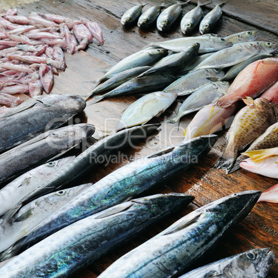 Fresh fish and squid on a wooden table. Sri Lanka.
