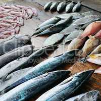 Fresh fish and squid on a wooden table. Sri Lanka.