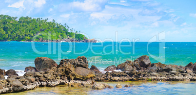 Beach tropical ocean with coral and palms trees. Wide photo .