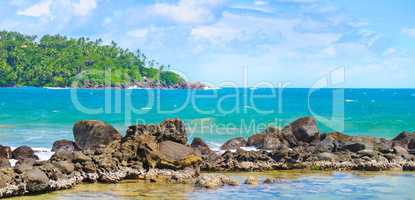 Beach tropical ocean with coral and palms trees. Wide photo .