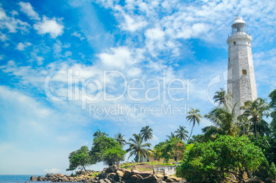 Lighthouse, lagoon and tropical palms (Matara Sri Lanka).