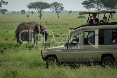 African elephant grazes in savannah behind jeep