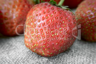 Delicious ripe strawberries closeup..