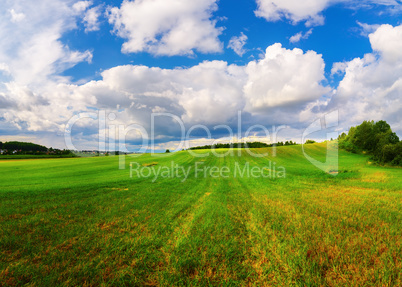 Field and sky