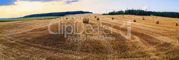 Landscape with hay bales
