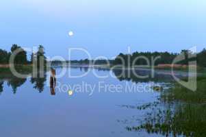 the reflection of the moon in the pond, clear night, moonlight