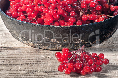 Closeup viburnum in cast iron frying pan