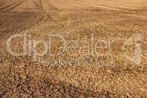 Machined field after sowing