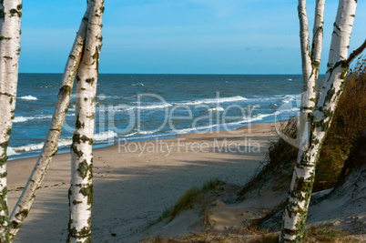 sea wave, storm at sea, birch trees by the sea, waves lapping on the shore, cargo ship at sea