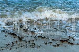 sea wave, storm at sea, waves lapping on the shore, cargo ship at sea