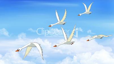 Flock of Swans Flies in the Sky
